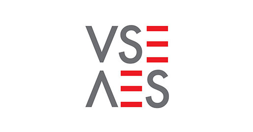 VSE Logo | © VSE